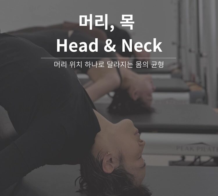 Head & Neck 워크숍