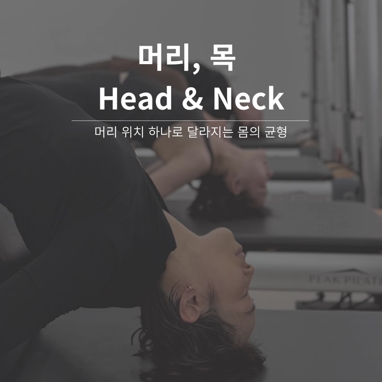 Head & Neck 워크숍