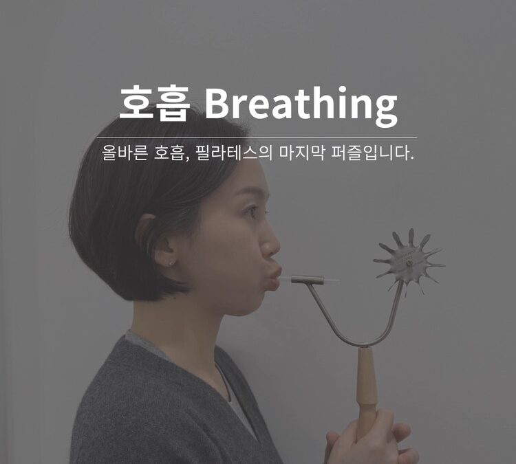 The Breathing 워크숍