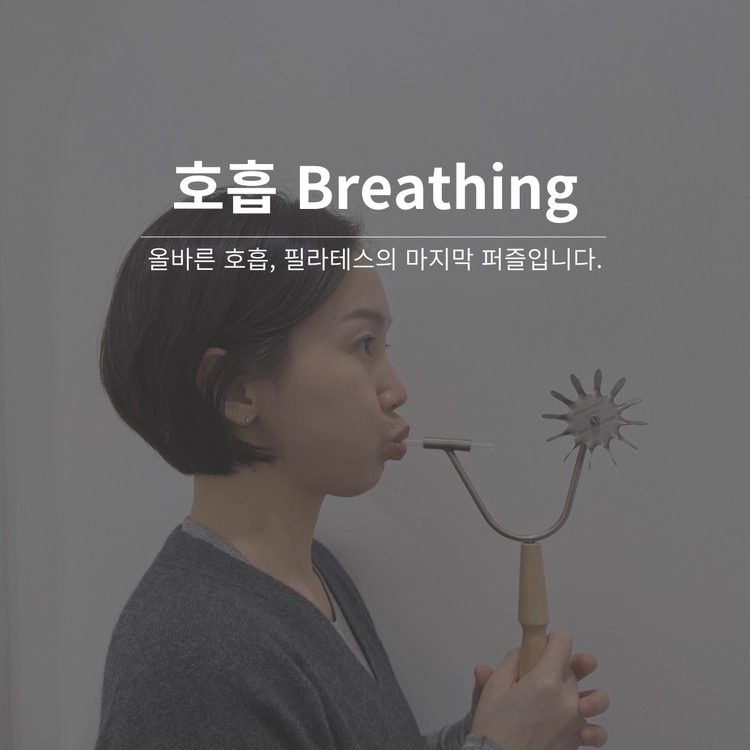 The Breathing 워크숍