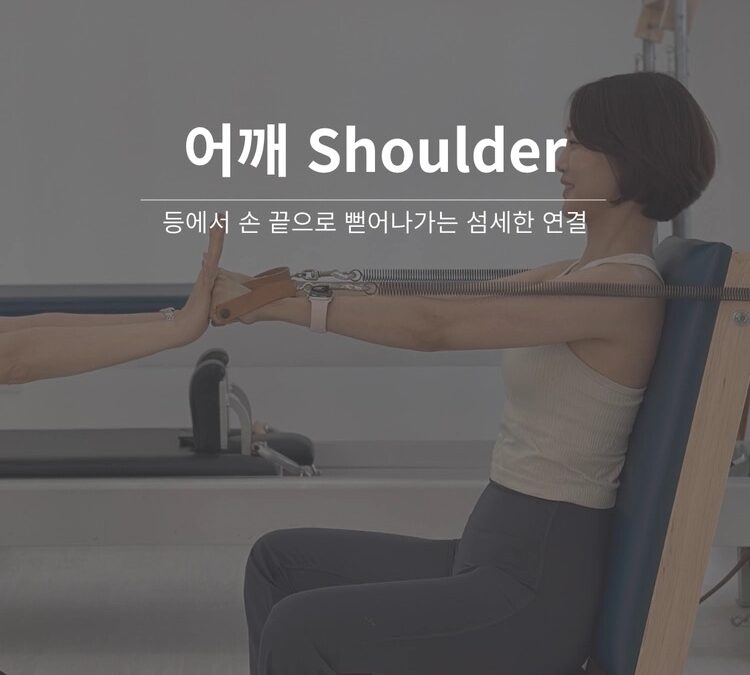 The Shoulder 워크숍