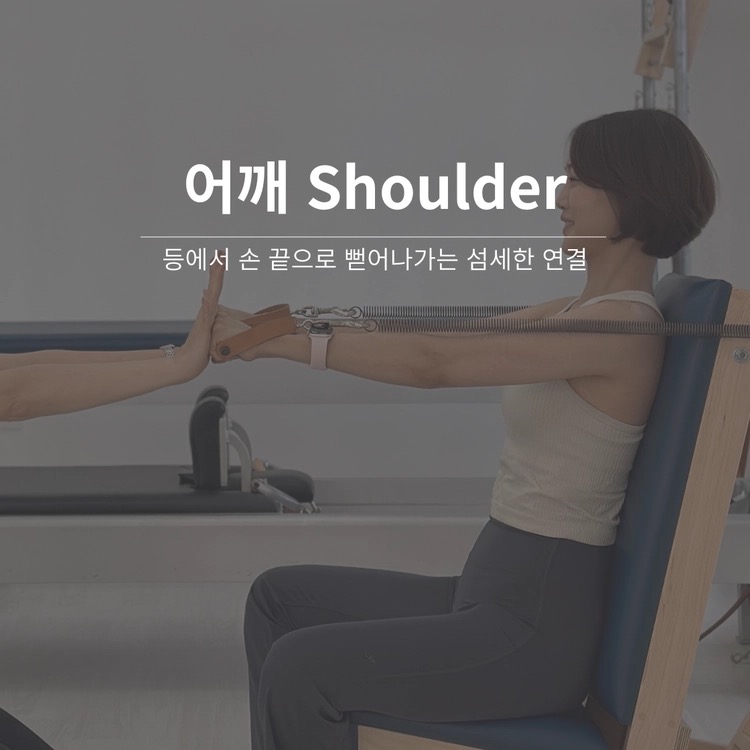 The Shoulder 워크숍