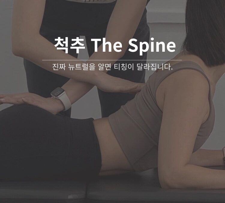 The Spine 워크숍