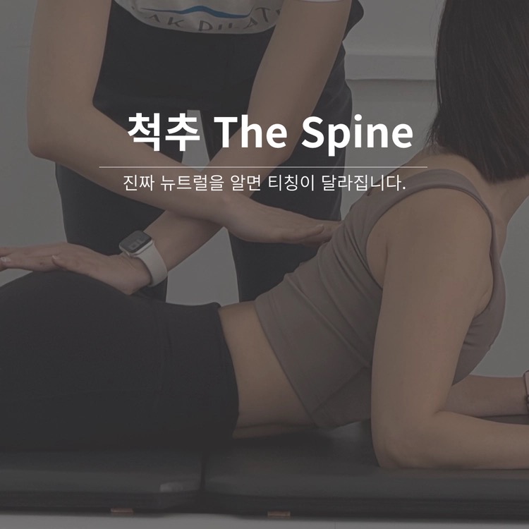 The Spine 워크숍